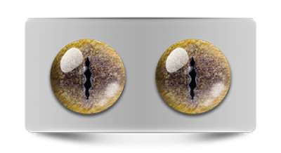 Звериные_02804