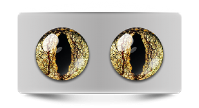 Звериные_02806