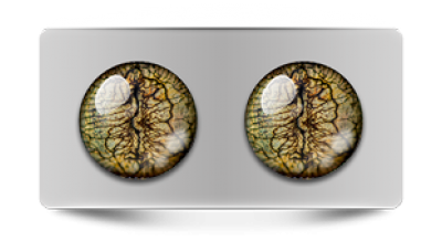 Звериные_02817