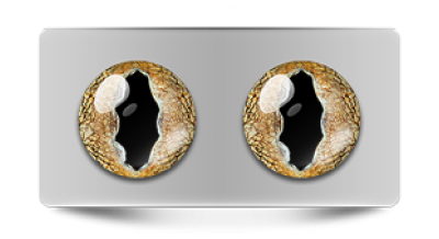 Звериные_02820