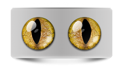 Звериные_02822