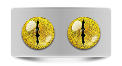 Звериные_02825