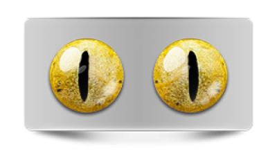 Звериные_02828