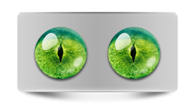 Звериные_02836