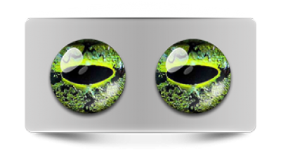 Звериные_02839