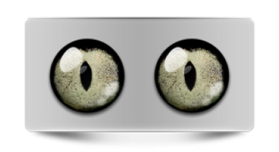 Звериные_02844