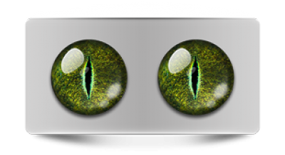 Звериные_02848