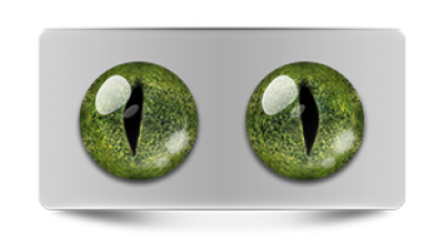 Звериные_02849