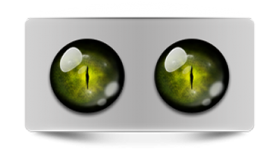 Звериные_02851