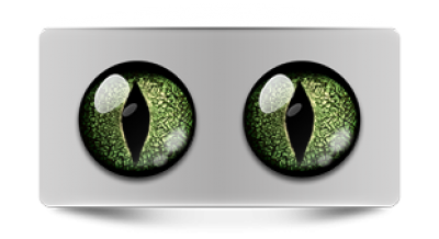 Звериные_02852