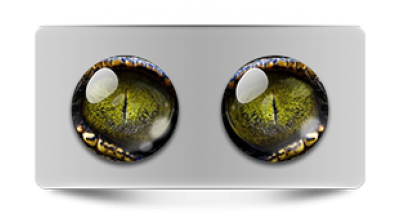 Звериные_02854