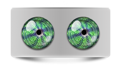 Звериные_02860