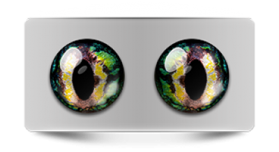 Звериные_02863