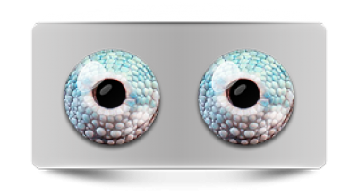 Звериные_02864