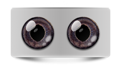 Звериные_02869