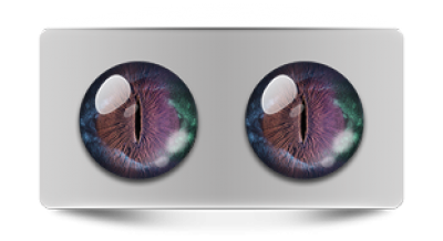 Звериные_02870