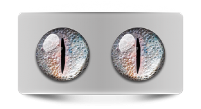 Звериные_02873