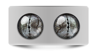 Звериные_02876