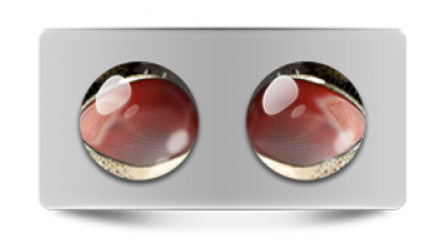 Звериные_02882