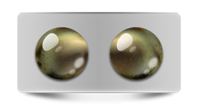 Звериные_02888