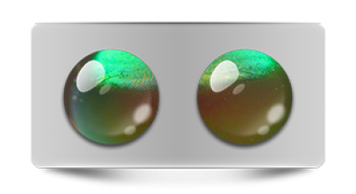 Звериные_02893