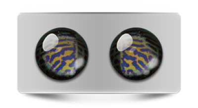 Звериные_02905