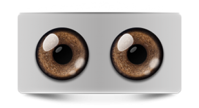 Звериные_02915