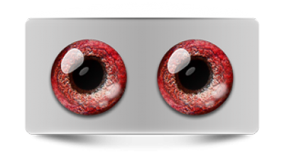 Звериные_02923