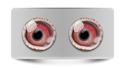 Звериные_02924