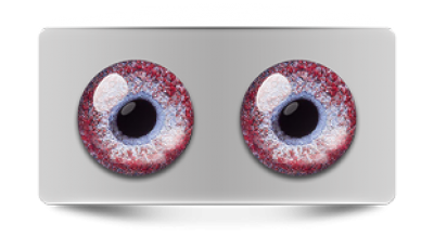 Звериные_02929