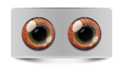 Звериные_02930