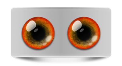 Звериные_02935