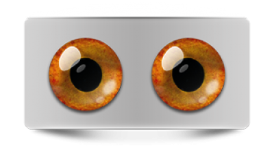 Звериные_02944