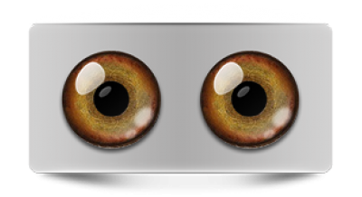 Звериные_02946