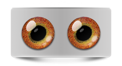 Звериные_02947