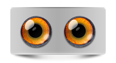 Звериные_02950