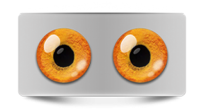 Звериные_02951