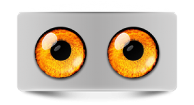 Звериные_02952