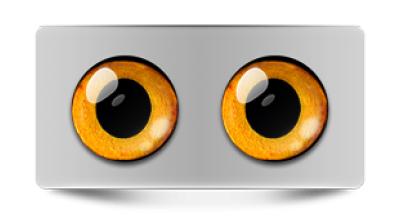 Звериные_02953