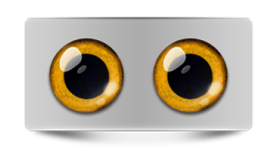 Звериные_02956