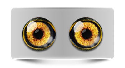 Звериные_02957