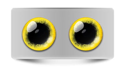 Звериные_02961