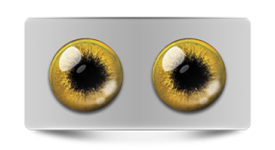 Звериные_02963