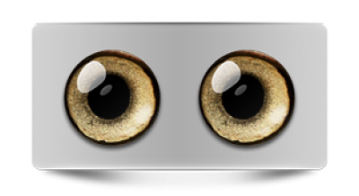 Звериные_02967