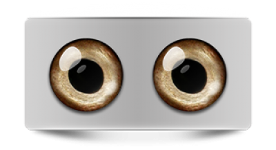 Звериные_02968