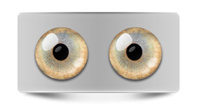 Звериные_02969