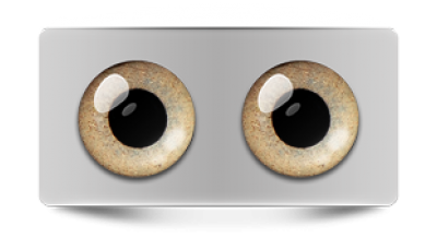 Звериные_02970