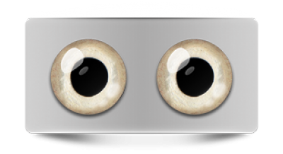 Звериные_02972