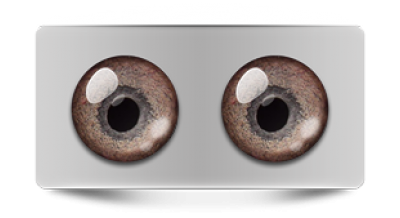 Звериные_02974