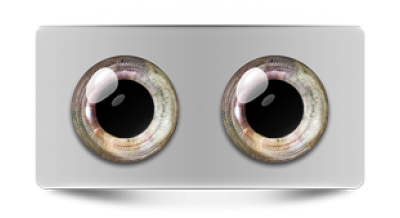 Звериные_02976